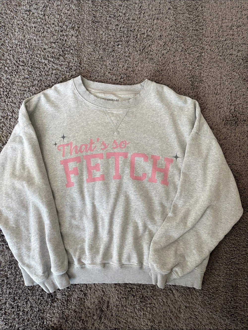 American Eagle Outfitters Light Gray Crewneck with Pink 'FETCH' Graphic